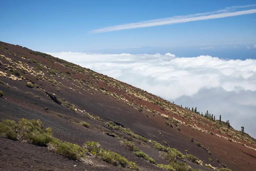 Las Canarias — landscape and travel photograph in Canary Islands, Spain, frame 2 of 28.